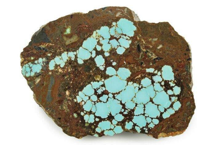 Polished Turquoise Slab - Number Mine, Carlin, NV #245503